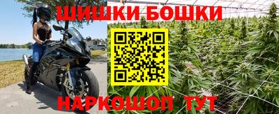 стаф Будённовск