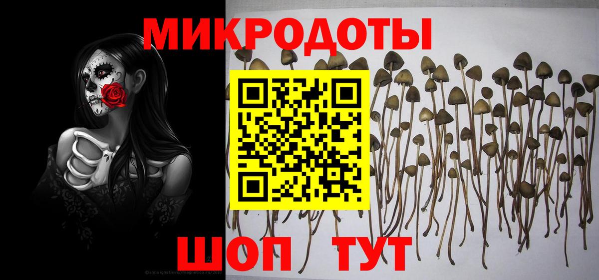 Псилоцибиновые грибы GOLDEN TEACHER Севастополь