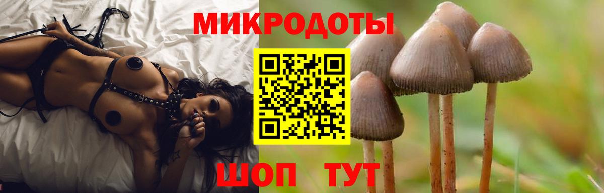 Севастополь  Псилоцибиновые грибы Psilocybine cubensis  Псилоцибиновые грибы Cubensis  Вход с VPN 